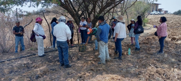 Integrantes del Bazar Campo Ciudad se capacitan en agroecología, cooperativismo, economía social y solidaria
